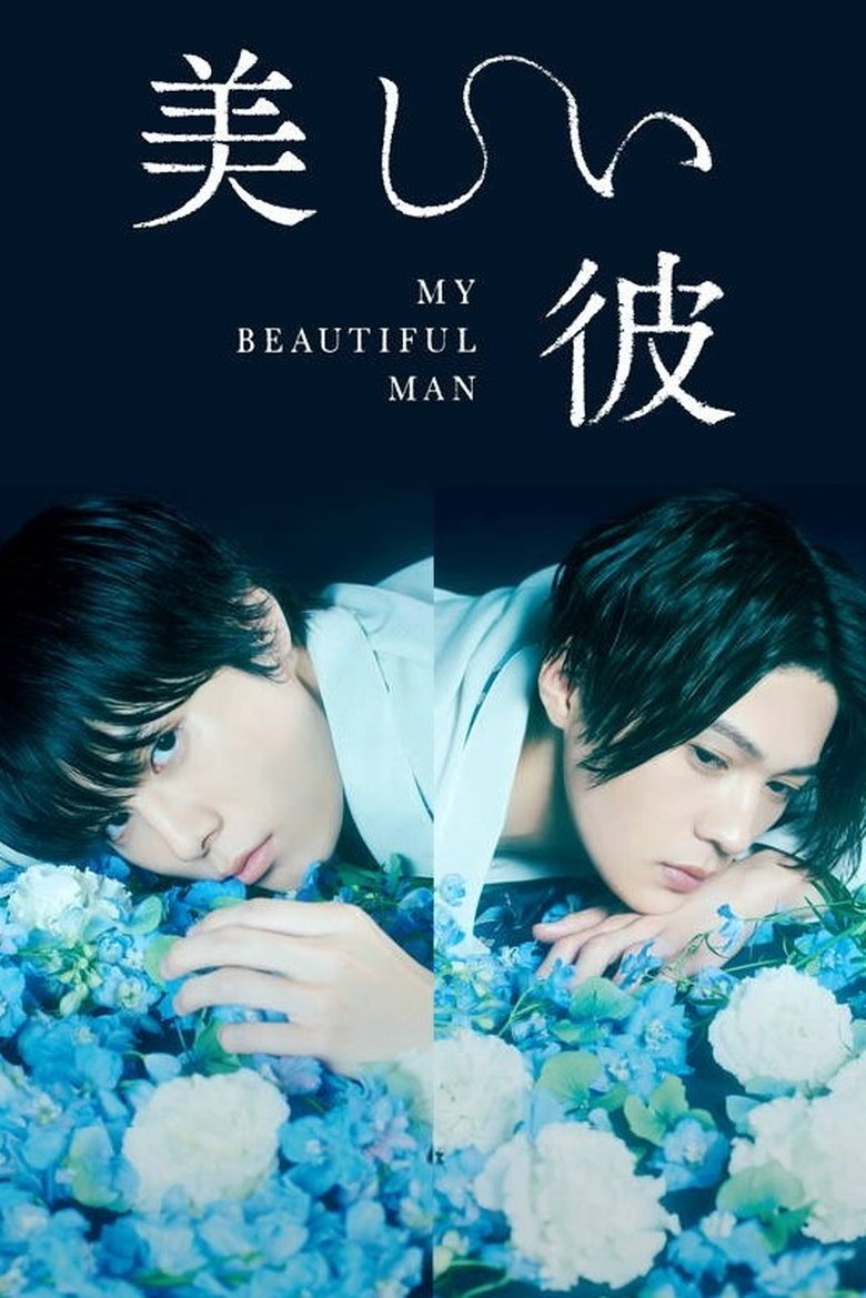 Voir 美しい彼 streaming Voir 美しい彼 streaming