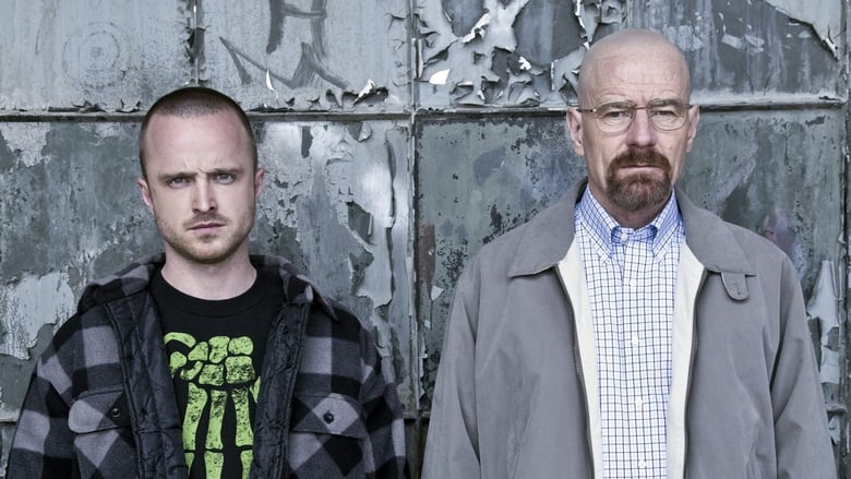 Breaking Bad Season 2 Episode 4 : Down