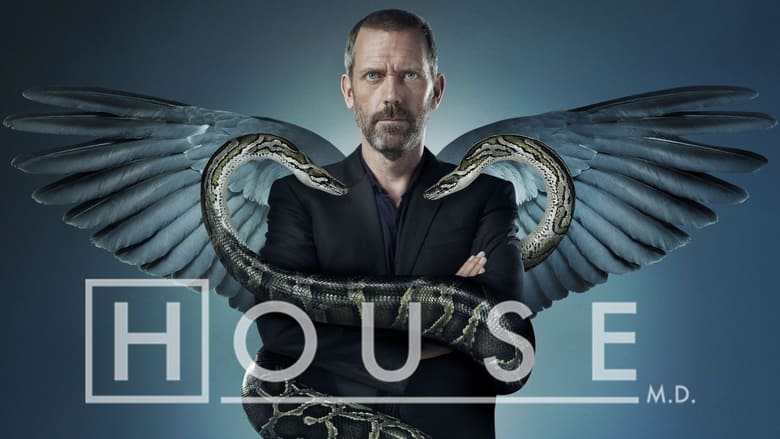 House Season 3 Episode 13 : Needle in a Haystack