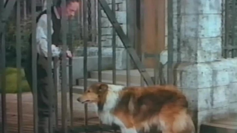 Challenge to Lassie