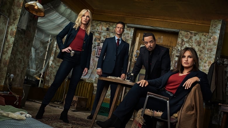 Law & Order: Special Victims Unit Season 7 Episode 21 : Web