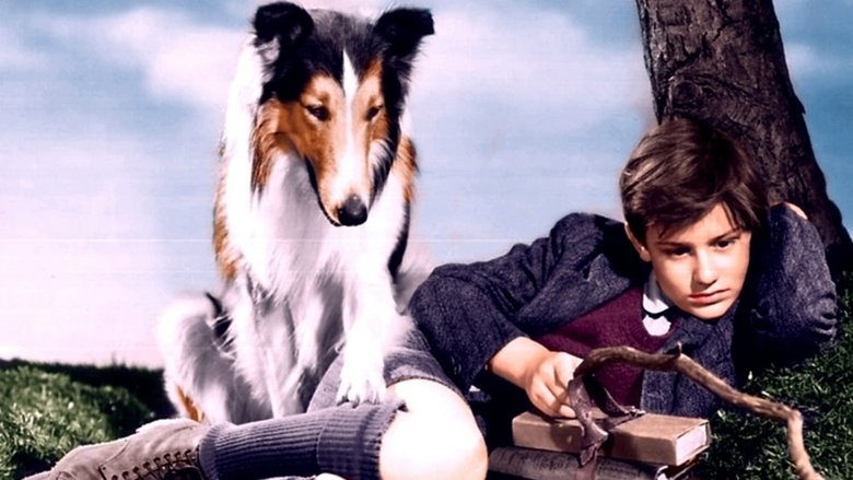 Ver y Descargar Lassie Come Home Español Gratis