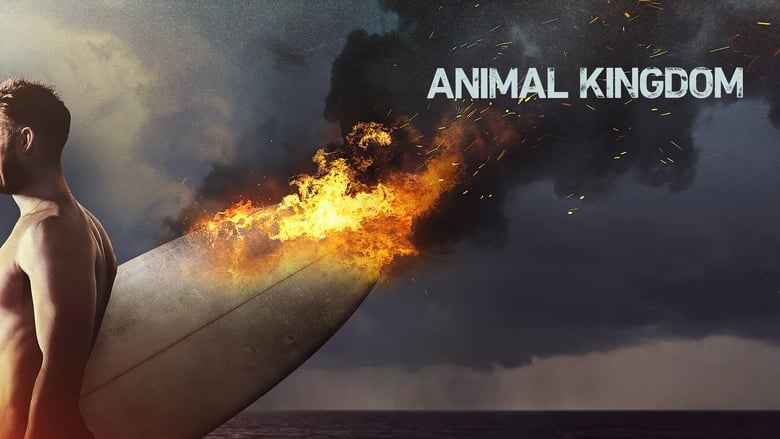 Animal Kingdom Season 3 Episode 2 : In The Red