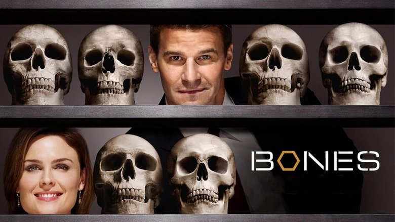 Bones Season 2 Episode 19 : Spaceman in a Crater