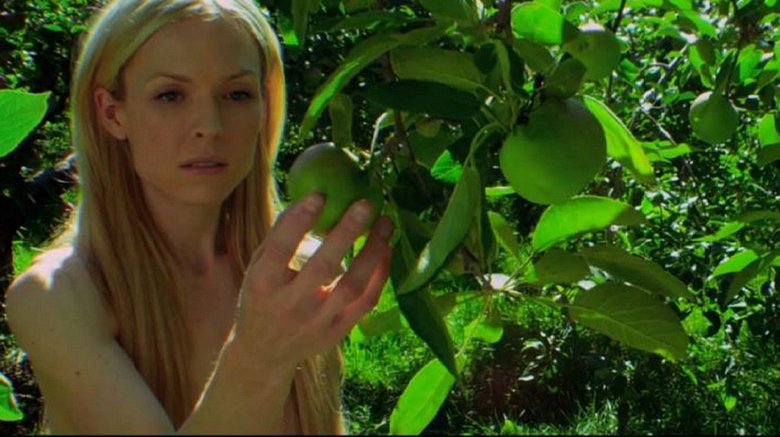 All The Wilderness Full Movie Online Free
