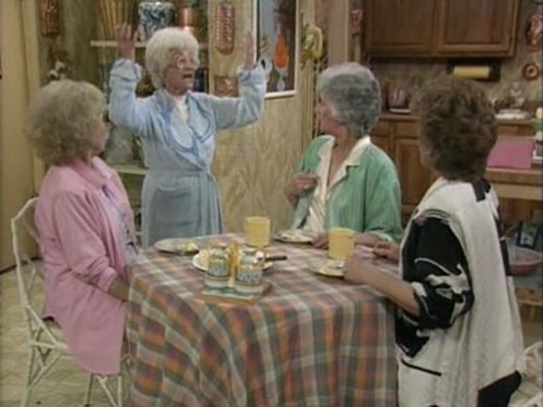 Golden Girls Season 3 Episode 1\