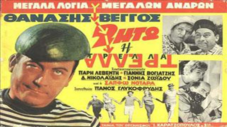 Film Ζήτω η Τρέλα ITA Gratis