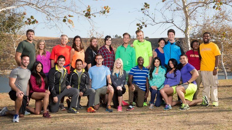 The Amazing Race Season 26