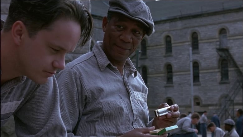 The Shawshank Redemption