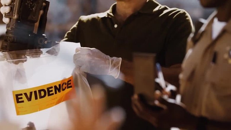 Immagine di Evidence