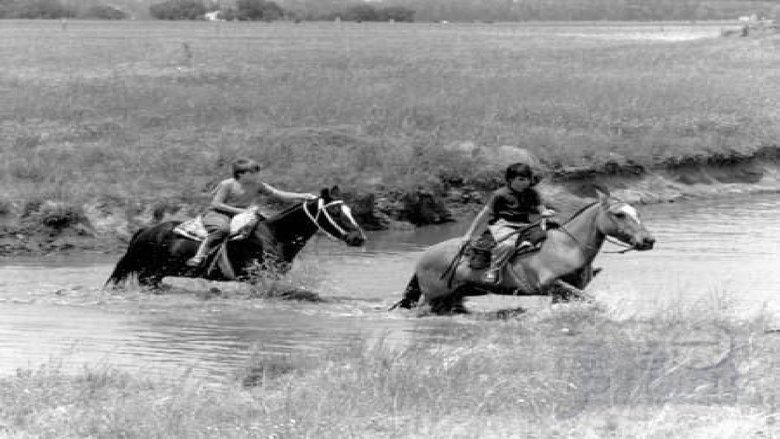 Titta Summer of the Colt nätet gratis