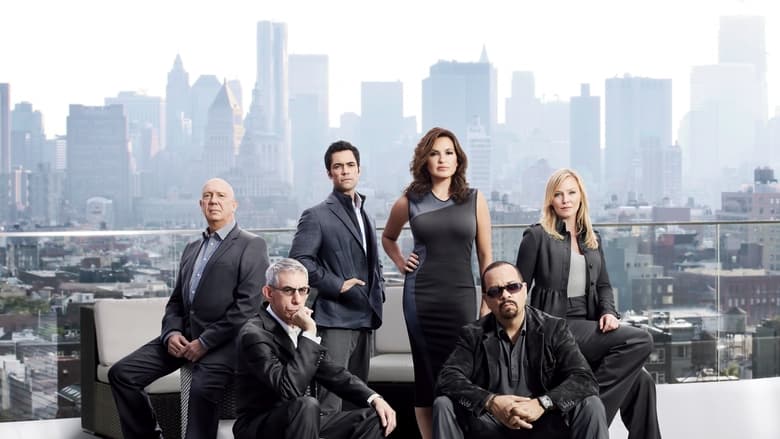 Law & Order: Special Victims Unit Season 16 Episode 9 : Pattern Seventeen