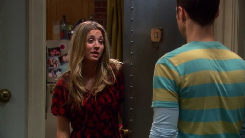 big bang theory s05e22