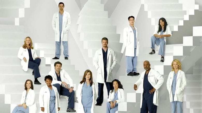 Grey's Anatomy Season 8 Episode 19 : Support System