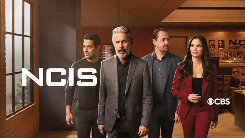 NCIS Season 17 Episode 14 : On Fire