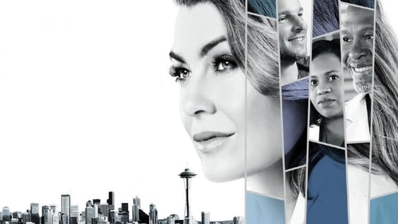 Grey's Anatomy Season 6 Episode 21 : How Insensitive