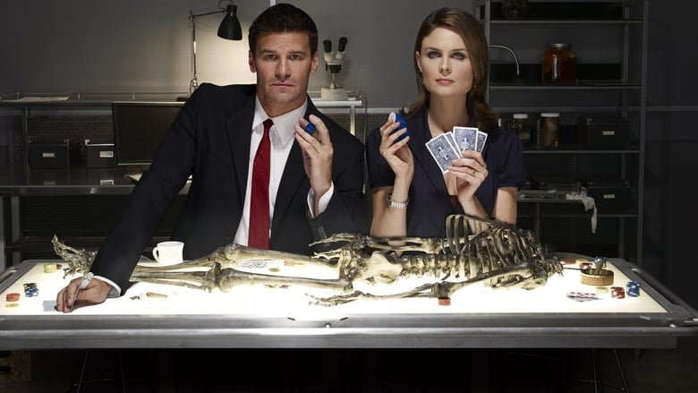 Bones Season 4 Episode 17 : The Salt in the Wounds