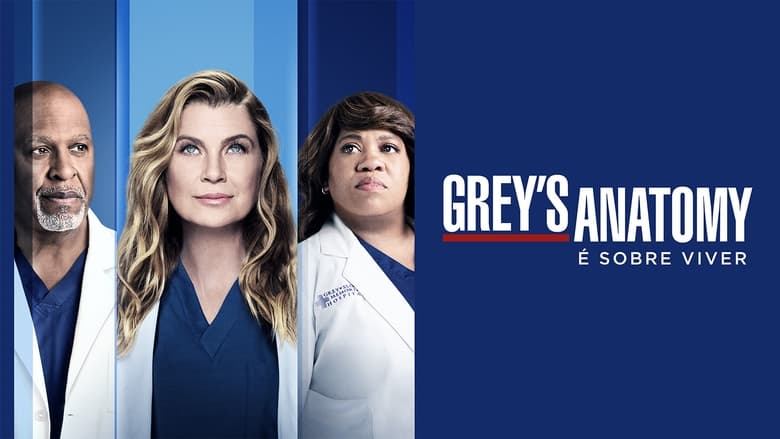 Grey's Anatomy Season 15 Episode 8 : Blowin' in the Wind