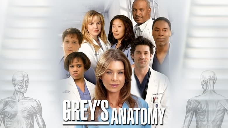 Grey's Anatomy Season 9 Episode 8 : Love Turns You Upside Down