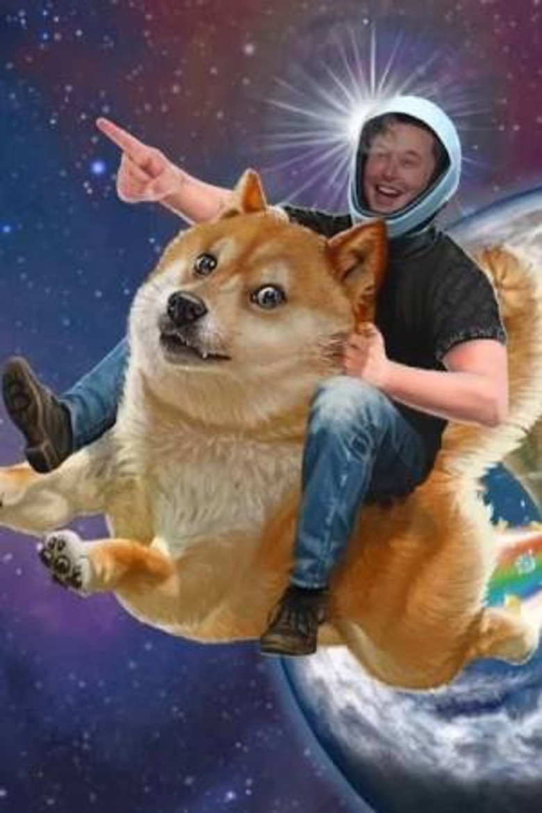 Elon