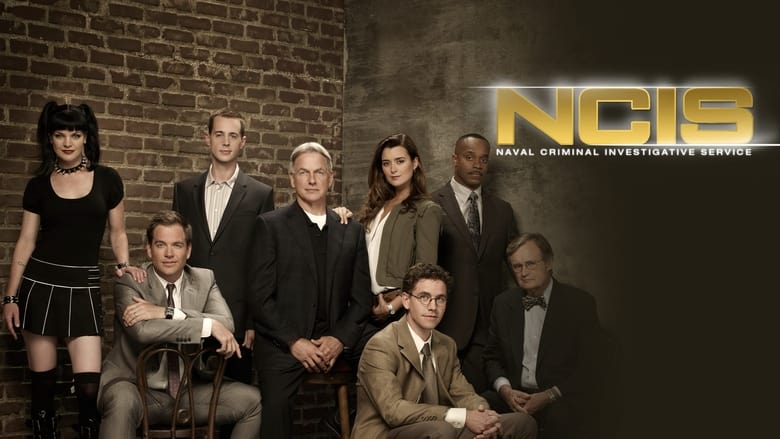 NCIS Season 10 Episode 23 : Double Blind