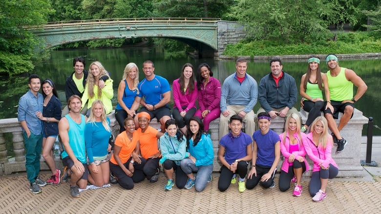 The Amazing Race Season 25