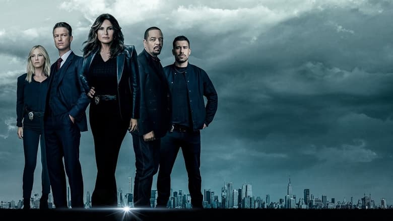 Law & Order: Special Victims Unit Season 9 Episode 7 : Blinded