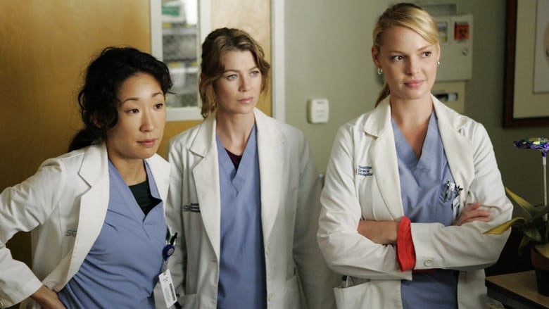 Grey's Anatomy Season 8 Episode 23 : Migration