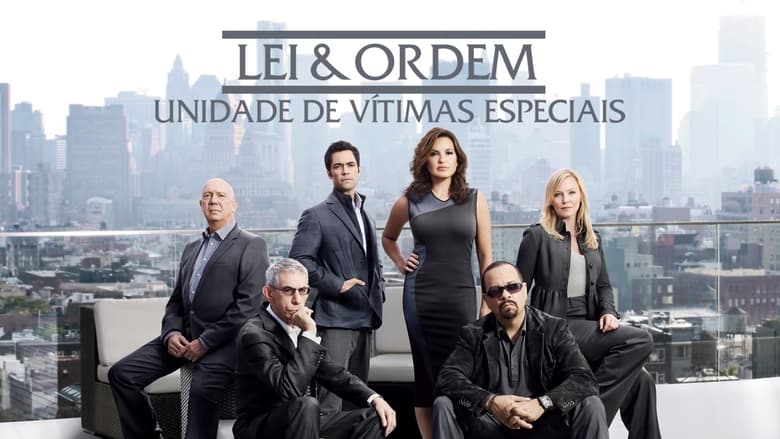 Law & Order: Special Victims Unit Season 10 Episode 11 : Stranger