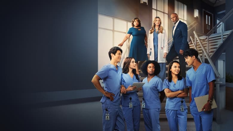 Grey's Anatomy Season 9 Episode 16 : This is Why We Fight