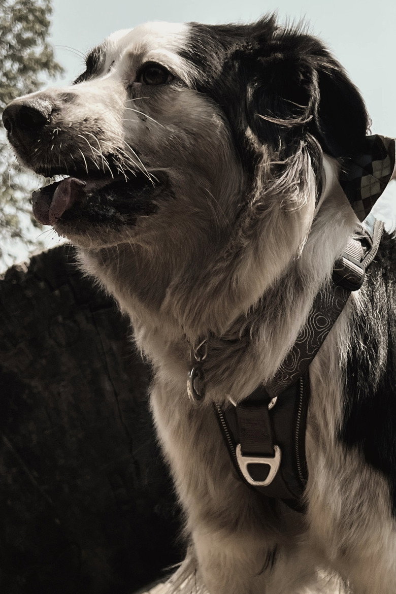 Athena