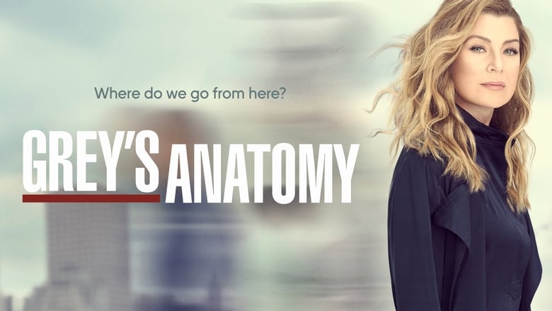 Grey's Anatomy Season 4 Episode 6 : Kung Fu Fighting