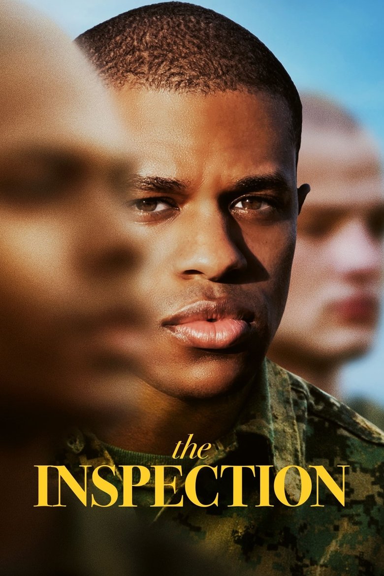 Image The Inspection