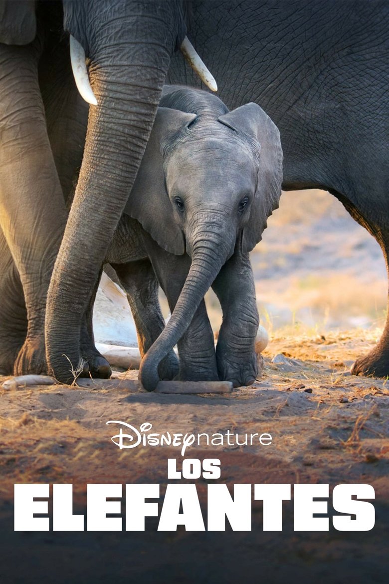 ver Los elefantes pelicula completa en español latino