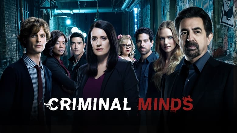 Criminal Minds Season 10 Episode 7 : Hashtag