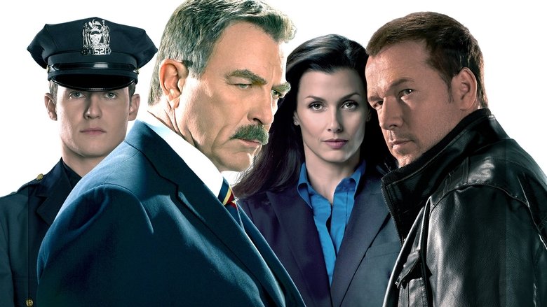 Blue Bloods Season 14