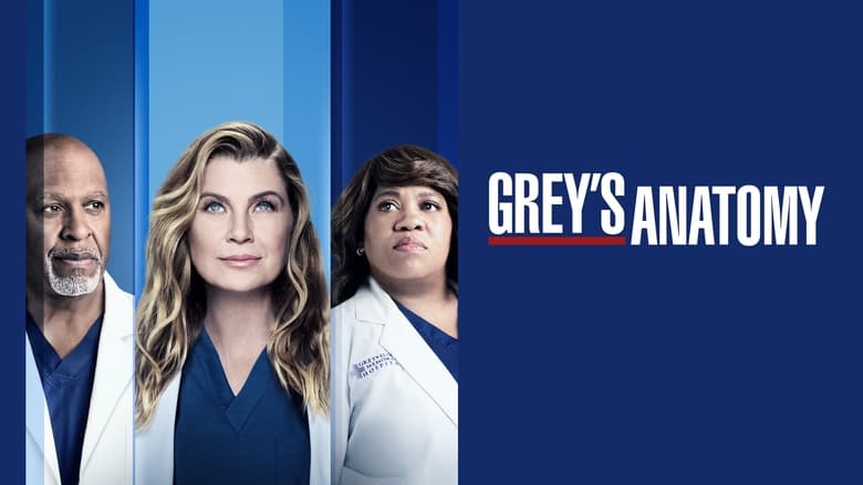 Grey's Anatomy Season 18 Episode 14 : Road Trippin’