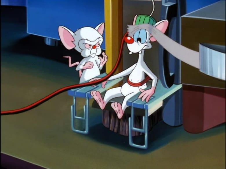 Pinky And Ron Jeremy 2