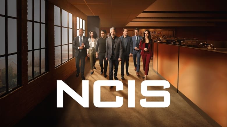 NCIS Season 13 Episode 12 : Sister City (I)