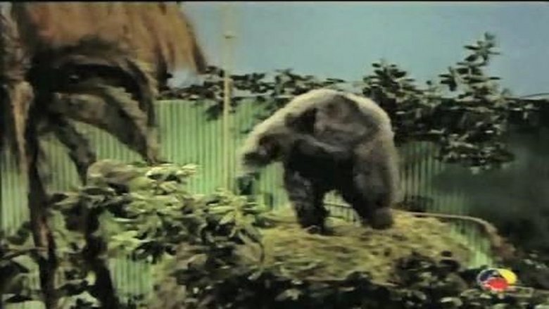 Gorilla at Large film stream Online kostenlos anschauen