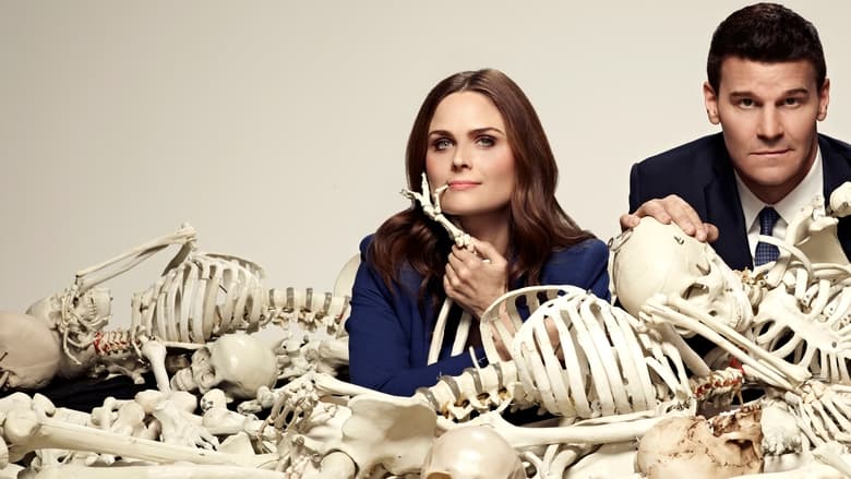 Bones Season 6 Episode 4 : The Body and the Bounty