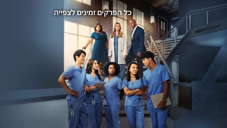 Grey's Anatomy Season 2 Episode 16 : It's the End of the World