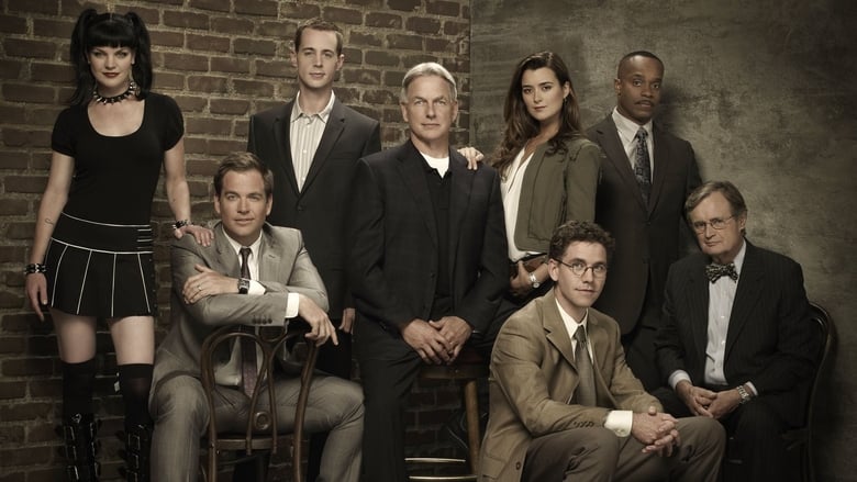 NCIS Season 16 Episode 19 : Perennial