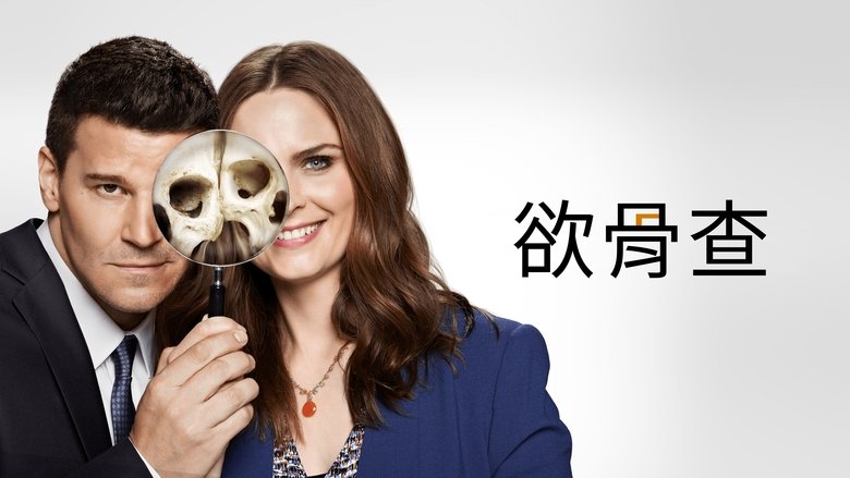 Bones Season 4 Episode 11 : The Bone That Blew