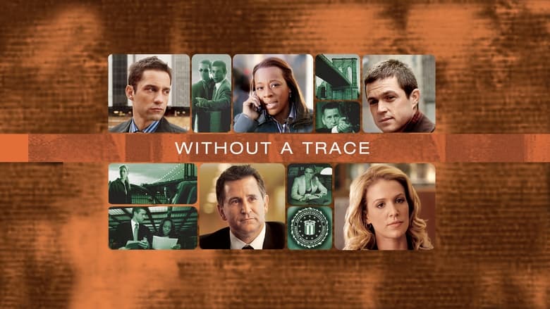 Without a Trace Season 6