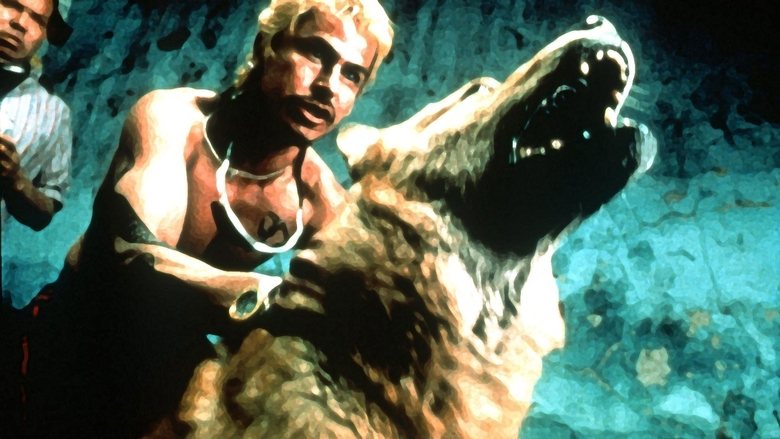 Regarder Film Amores perros Gratuit en français