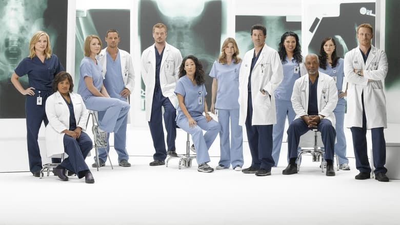 Grey's Anatomy Season 5 Episode 24 : Now or Never