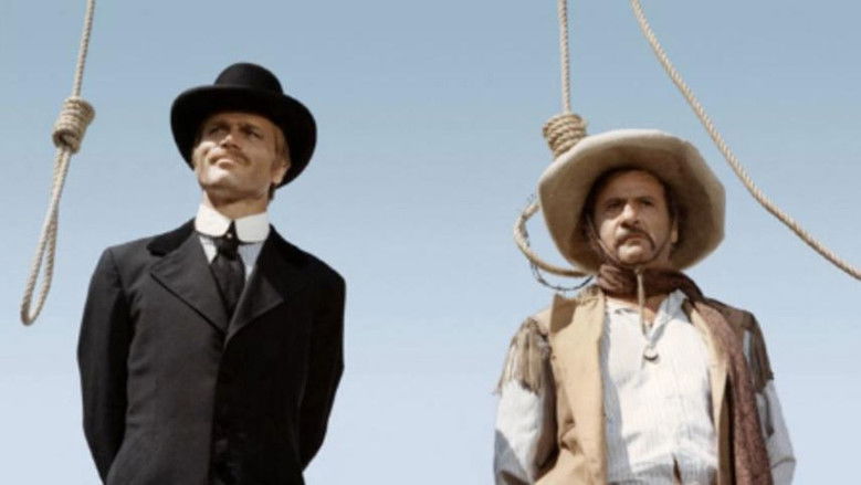 Don't Turn the Other Cheek