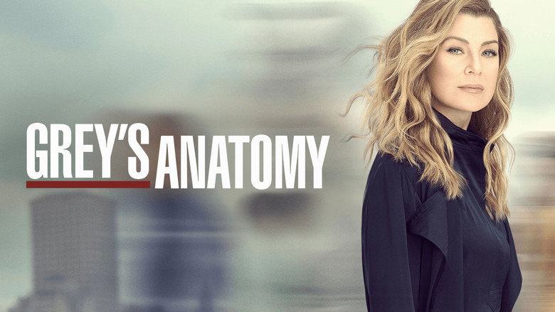Grey's Anatomy Season 19 Episode 11 : Training Day