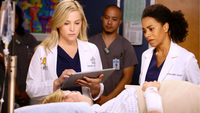 Grey S Episodes Season 11 Grey S Episodes Season 11